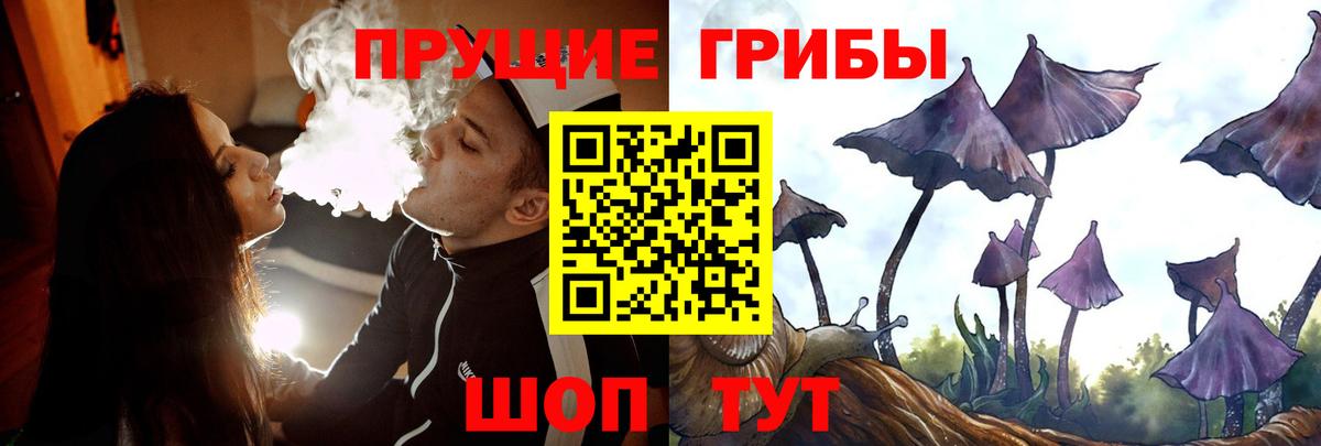 Галлюциногенные грибы мицелий  Вход с VPN  Тверь 